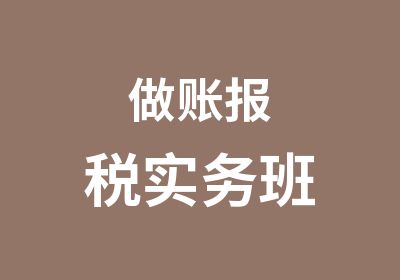 做账报税实务班