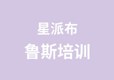 星派布鲁斯培训