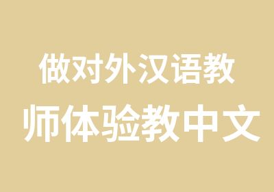 做对外汉语教师体验教中文的乐趣