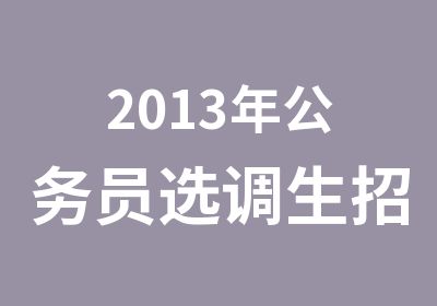 2013年公务员选调生招考笔试特训班