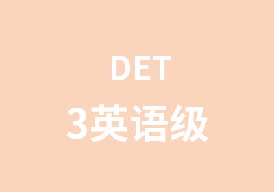 DET3英语级