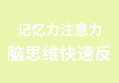 记忆力注意力脑思维反应训练情商训练