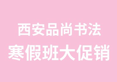 西安品尚书法寒假班大促销