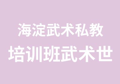 海淀武术私教培训班武术世家培训中心