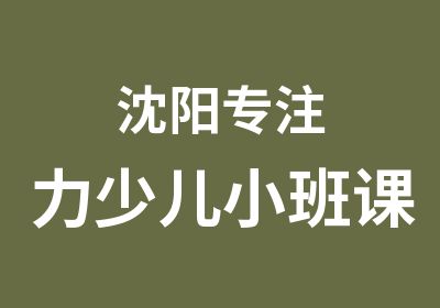 沈阳专注力少儿小班课