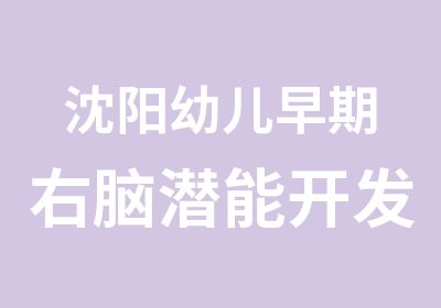 沈阳幼儿早期右脑潜能开发培训班