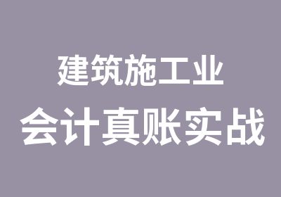 建筑施工业会计真账实战