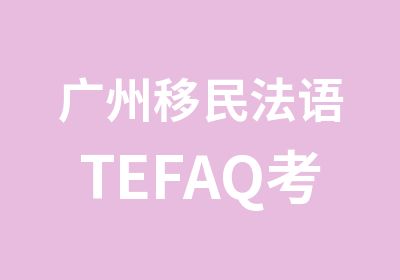 广州移民法语TEFAQ考前强化班