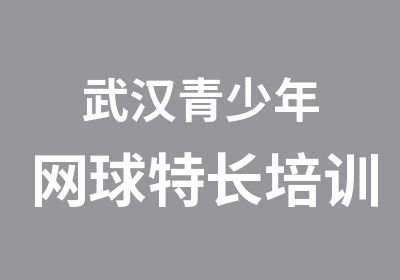 武汉青少年网球特长培训