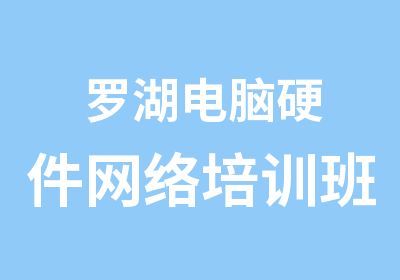 罗湖电脑硬件网络培训班