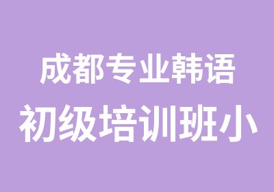 成都专业韩语初级培训班小班教学专业师资