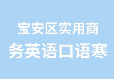 宝安区实用商务英语口语寒假辅导班