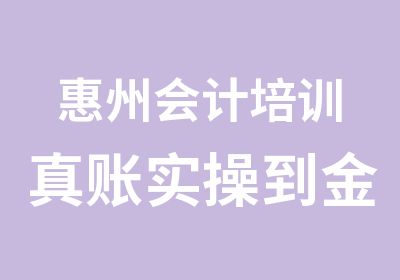 惠州会计培训真账实操到金帐本事务所