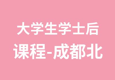 大学生学士后课程-成都北大青鸟