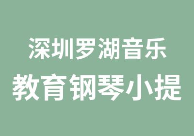 深圳罗湖音乐教育钢琴小提琴萨克斯培训