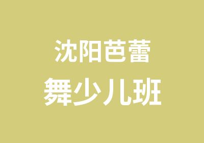 沈阳芭蕾舞少儿班