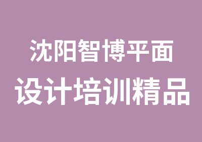 沈阳智博平面设计培训精品班