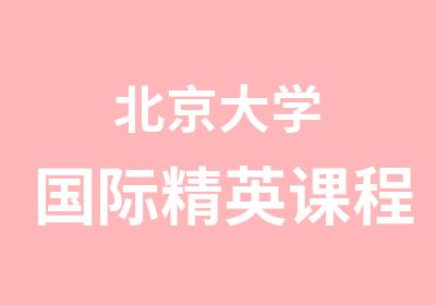 北京大学国际精英课程