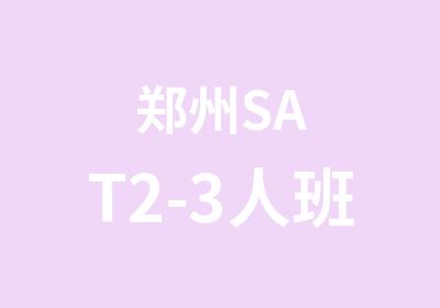 郑州SAT2-3人班