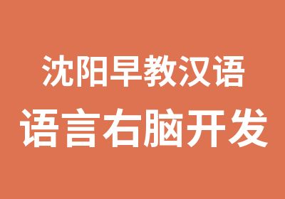 沈阳早教汉语语言右脑开发培训