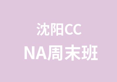 沈阳CCNA周末班