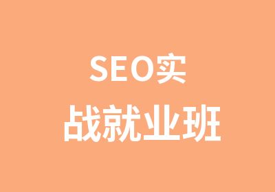 SEO实战就业班