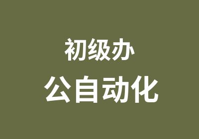 初级办公自动化