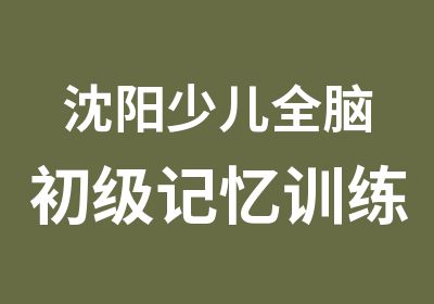 沈阳少儿全脑初级记忆训练