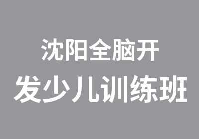 沈阳全脑开发少儿训练班