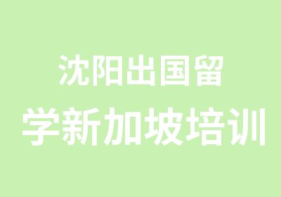 沈阳出国留学新加坡培训