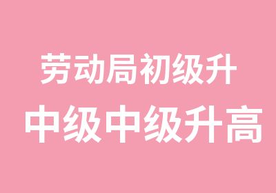 劳动局初级升中级中级升升培训