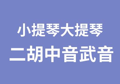 小提琴大提琴二胡中音武音毕业授