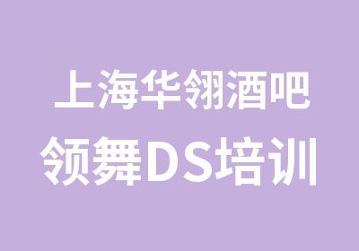 上海华翎酒吧领舞DS培训班综合教练班