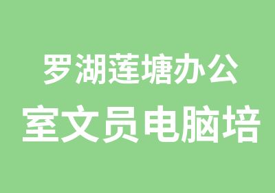 罗湖莲塘办公室文员电脑培训