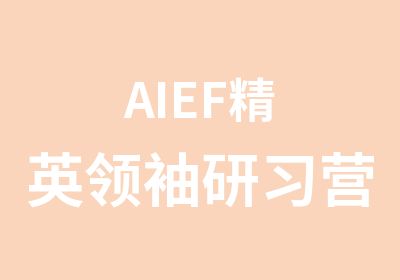 AIEF精英研习营