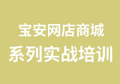 宝安网店商城系列实战培训班