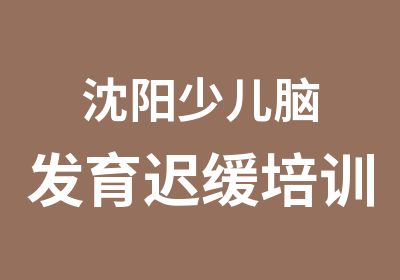 沈阳少儿脑发育迟缓培训