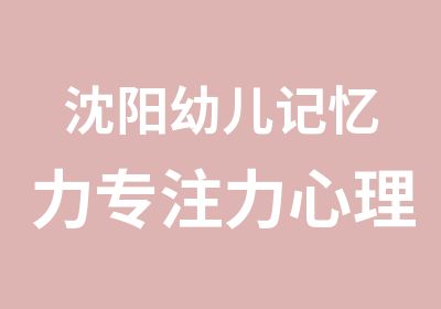 沈阳幼儿记忆力专注力心理素质综合能力培养