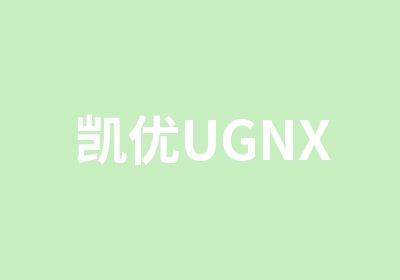 凯优UGNX