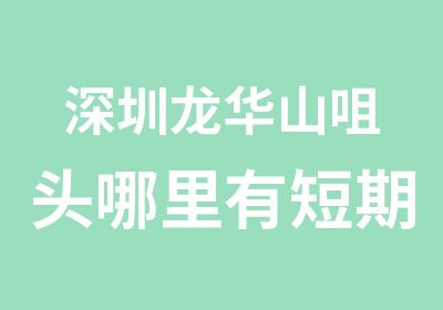 深圳龙华山咀头哪里有短期电脑培训班要多少