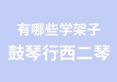 有哪些学架子鼓琴行西二琴行