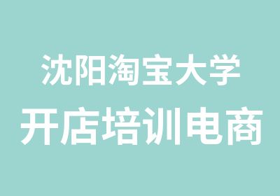 沈阳大学开店培训电商运营外包