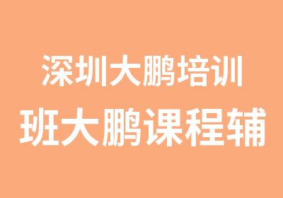 深圳大鹏培训班大鹏课程辅导班