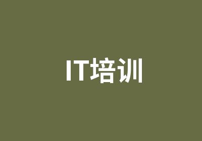 IT培训