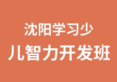 沈阳学习少儿智力开发班