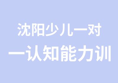 沈阳少儿认知能力训练