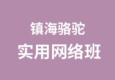 镇海骆驼实用网络班