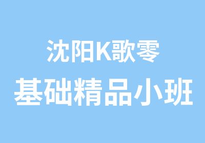 沈阳K歌零基础精品小班