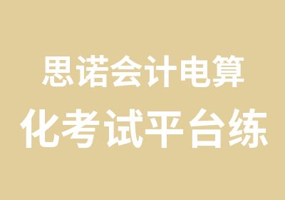 思诺会计电算化考试平台练习