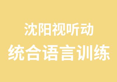 沈阳视听动统合语言训练